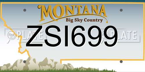 ZSI699 Montana License Plate