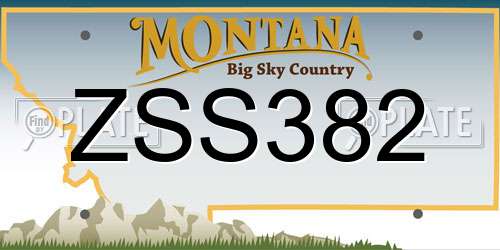 ZSS382 Montana License Plate
