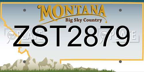 ZST2879 Montana License Plate