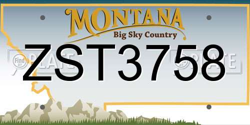 ZST3758 Montana License Plate