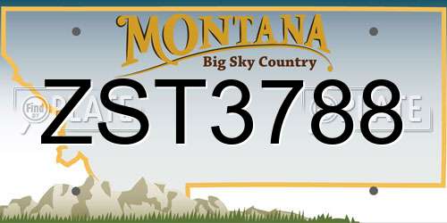 ZST3788 Montana License Plate