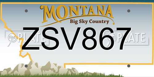 ZSV867 Montana License Plate