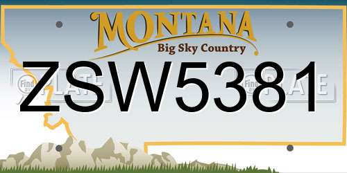 ZSW5381 Montana License Plate