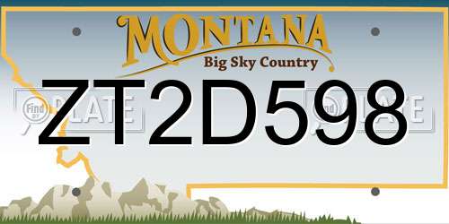 ZT2D598 Montana License Plate