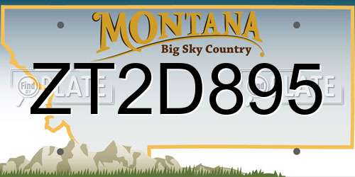 ZT2D895 Montana License Plate