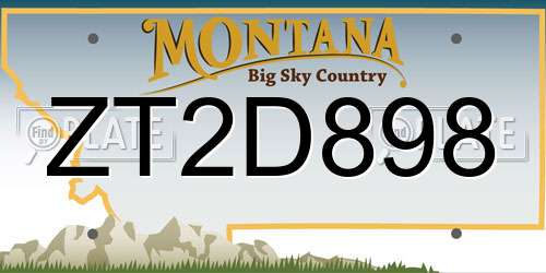ZT2D898 Montana License Plate