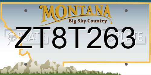 ZT8T263 Montana License Plate