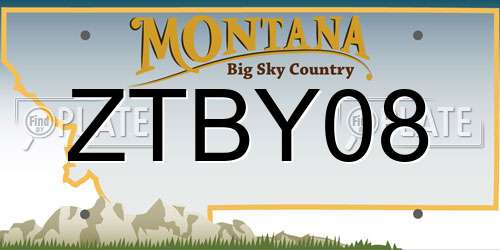 ZTBY08 Montana License Plate
