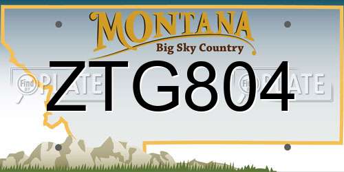 ZTG804 Montana License Plate