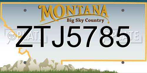 ZTJ5785 Montana License Plate