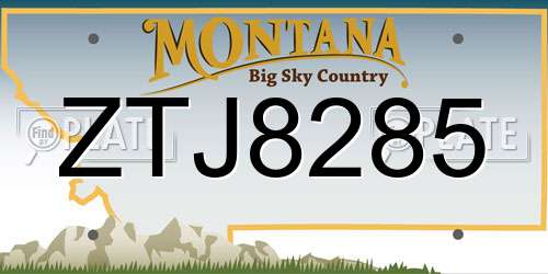 ZTJ8285 Montana License Plate
