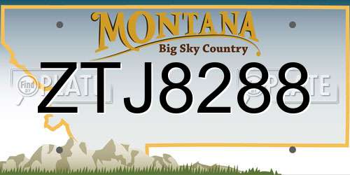 ZTJ8288 Montana License Plate