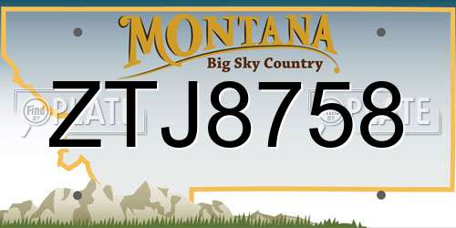 ZTJ8758 Montana License Plate