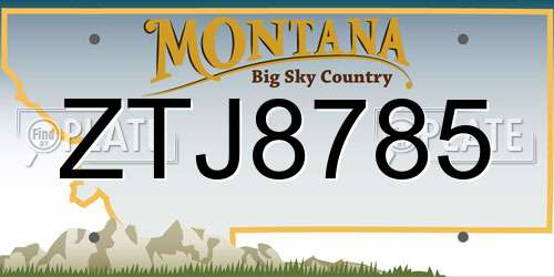 ZTJ8785 Montana License Plate