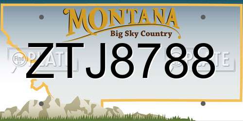 ZTJ8788 Montana License Plate