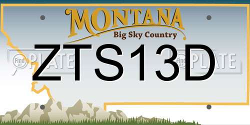 ZTS13D Montana License Plate
