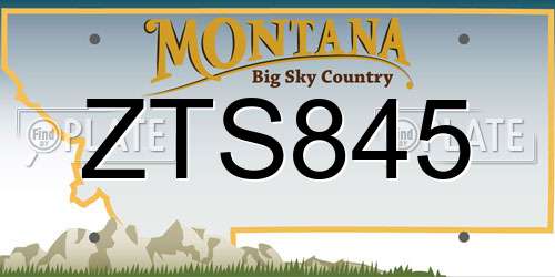 ZTS845 Montana License Plate