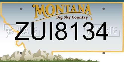 ZUI8134 Montana License Plate
