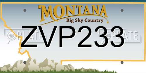 ZVP233 Montana License Plate