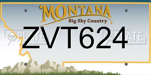 ZVT624 Montana License Plate