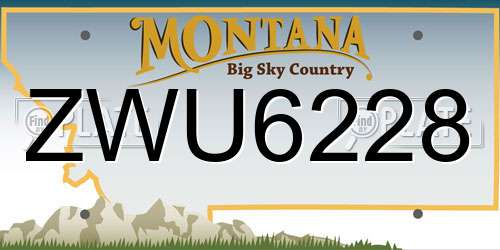 ZWU6228 Montana License Plate