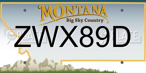 ZWX89D Montana License Plate