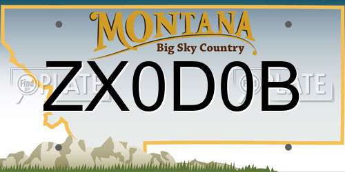ZX0D0B Montana License Plate