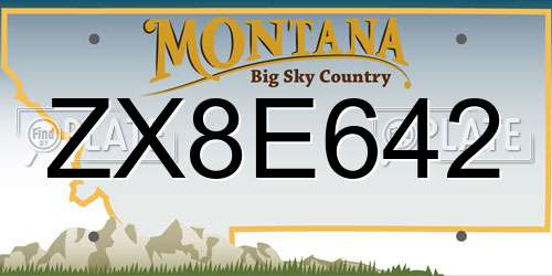 ZX8E642 Montana License Plate