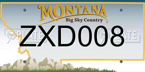 ZXD008 Montana License Plate