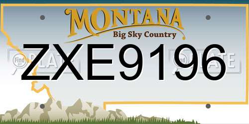ZXE9196 Montana License Plate