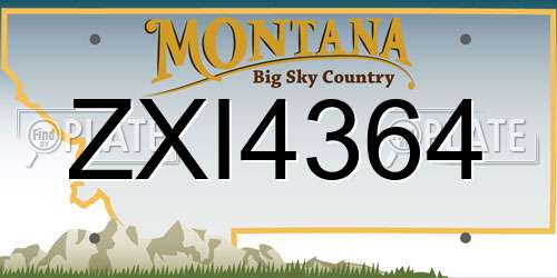 ZXI4364 Montana License Plate