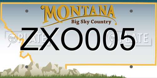 ZXO005 Montana License Plate