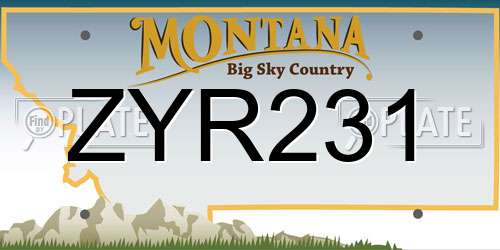 ZYR231 Montana License Plate