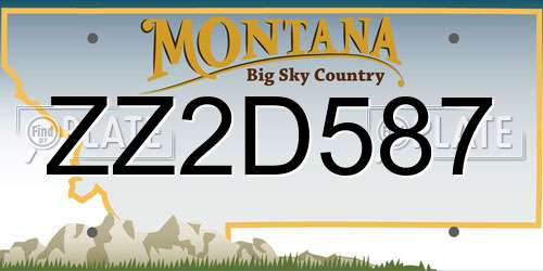 ZZ2D587 Montana License Plate
