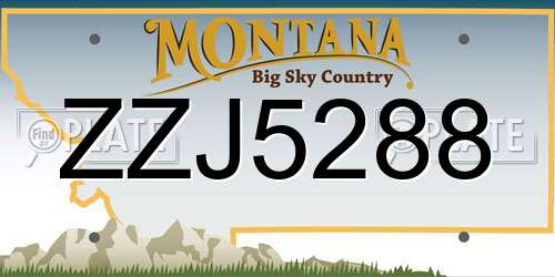 ZZJ5288 Montana License Plate
