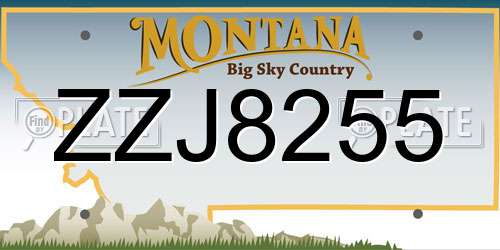ZZJ8255 Montana License Plate