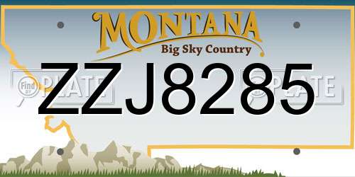 ZZJ8285 Montana License Plate