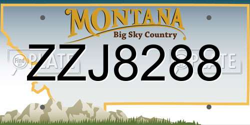 ZZJ8288 Montana License Plate