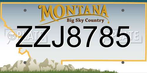 ZZJ8785 Montana License Plate