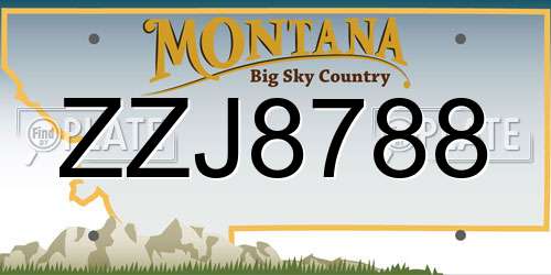 ZZJ8788 Montana License Plate