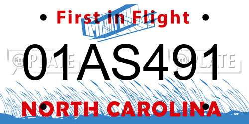 01AS491 North Carolina License Plate