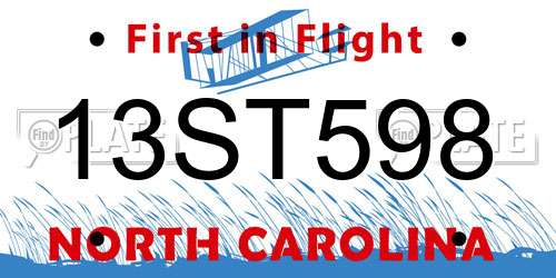 13ST598 North Carolina License Plate