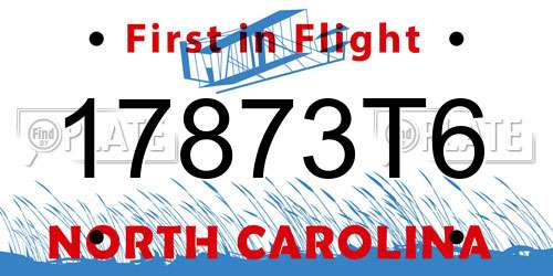 17873T6 North Carolina License Plate