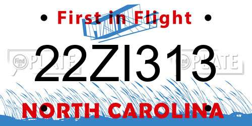 22ZI313 North Carolina License Plate