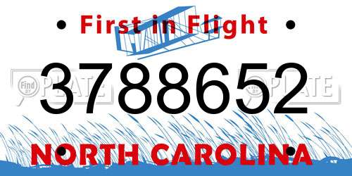 3788652 North Carolina License Plate