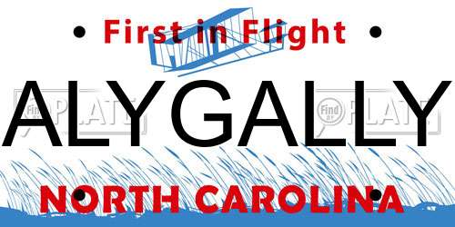 ALYGALLY North Carolina License Plate