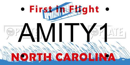 AMITY1 North Carolina License Plate
