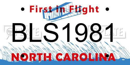 BLS1981 North Carolina License Plate