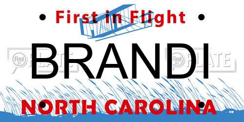 BRANDI North Carolina License Plate