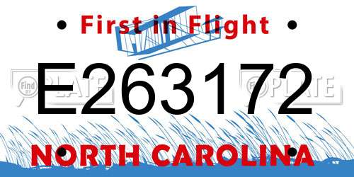 E263172 North Carolina License Plate